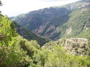 ce63edae237c206f7d41c5916c28371f379ed777_01_eosnafpaktou.jpg
